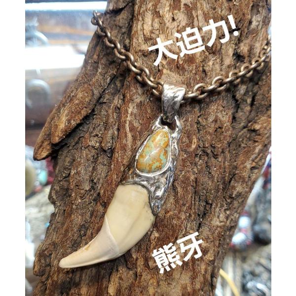 rym-32 熊牙 ベア ターコイズ付きペンダント 一点物 ネックレス ハンドメイド アクセサリー ...
