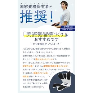 姿勢サポートチェア 姿勢矯正 座椅子 PELS...の詳細画像2