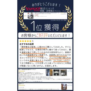 姿勢サポートチェア 姿勢矯正 座椅子 PELS...の詳細画像1