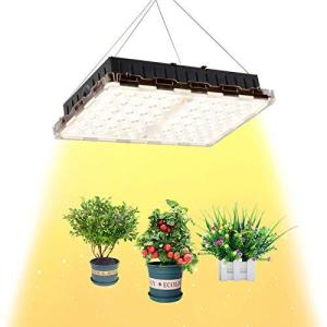 300w 植物育成ledライトの商品一覧 通販 Yahoo ショッピング