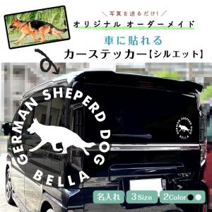 anpet わんにゃん見守り隊 ペットカメラ 見守りカメラ 遠隔操作 iphone