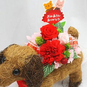 母の日にバラとカーネーションとあじさいのプリザ...の詳細画像1
