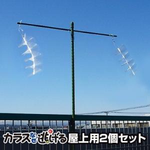 カラスよけ 対策 カラスなぜ逃げる？ くるりんキラキラタイプ 2個
