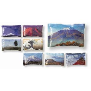 ケース販売のみ・６００個単位でご注文下さい　キャッチクール保冷剤５０ｇ（富士山）　　送料無料　粗品/販促品に最適！