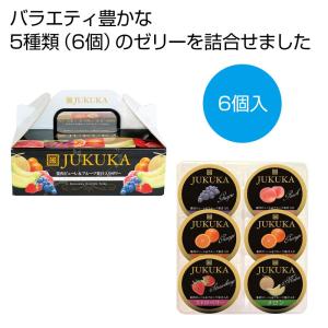 ケース販売のみ・２０箱単位でご注文下さい　熟果ゼリーアソートBOX6個　　・　・粗品/販促品に最適！