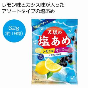 ケース販売のみ・４８個単位でご注文下さい　大粒天日塩使用　天塩の塩あめ　レモン味＆カシス味　　・送料無料　・粗品/販促品に最適！｜crossshop2