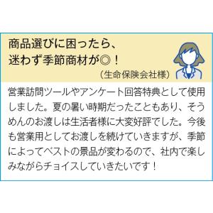 ケース販売のみ・100箱単位でご注文下さい 瀬...の詳細画像4