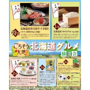 ごちそう大地　北海道グルメ抽選会１００人用　　・送料無料　・粗品/販促品に最適！