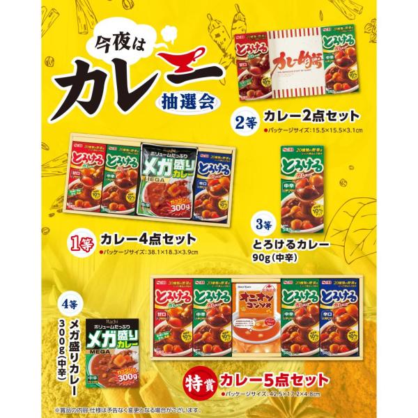 今夜はカレー抽選会３０人用　　・送料無料　・粗品/販促品に最適！