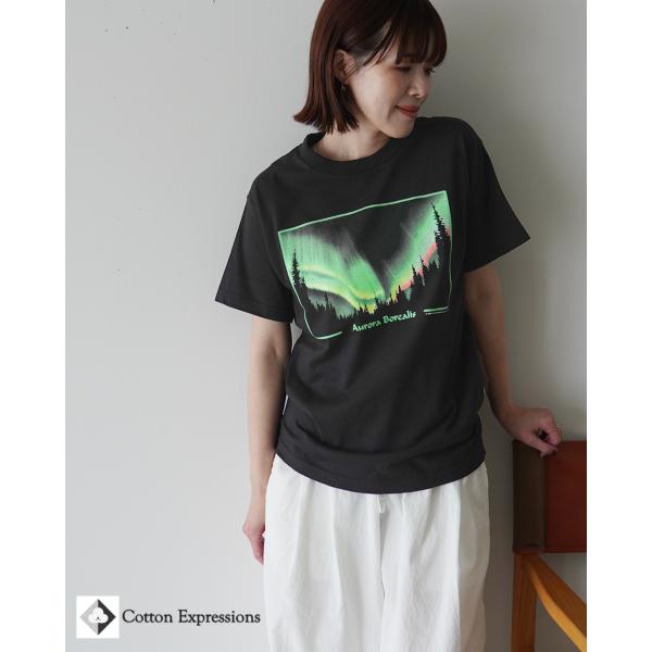 コットンエクスプレッション Cotton Expressions Tシャツ ユニセックス T-Shi...