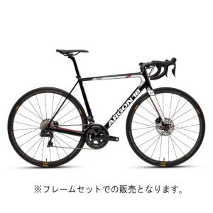 ARGON18  2019モデル Gallium Pro Disc ブラック/グロスホワイト サイズ Sフレームセット