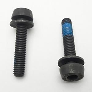Campagnolo  SCREWS for REAR MOUNT 2X24mm マウント取付スクリュー