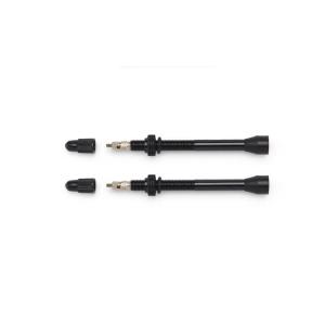 Scope チューブレスバルブ 2本 R4シリーズ用