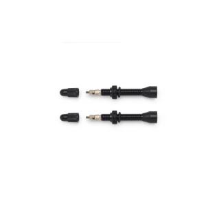 Scope チューブレスバルブ 2本 O2シリーズ用