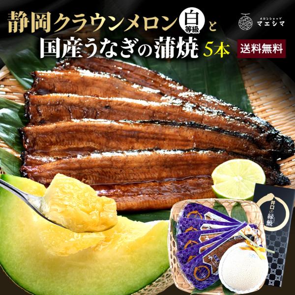 フルーツ・メロン クラウンメロン 並(白等級)1玉×うなぎ蒲焼 5本 静岡クラウンメロン 国産 うな...