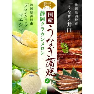 送料無料 産地直送 クラウンメロン 上(山等級...の詳細画像1