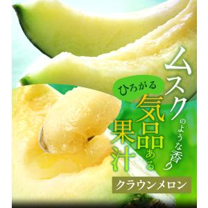 送料無料 産地直送 クラウンメロン 上(山等級...の詳細画像2