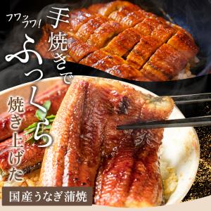 送料無料 産地直送 クラウンメロン 上(山等級...の詳細画像3