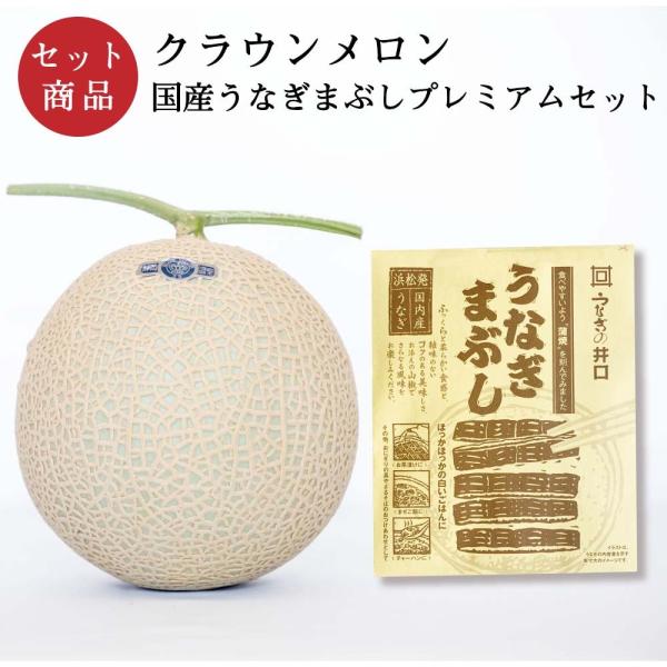 クラウンメロン×国産うなぎまぶしプレミアムセット(クラウンメロン山等級1玉×国産うなぎまぶし×1) ...