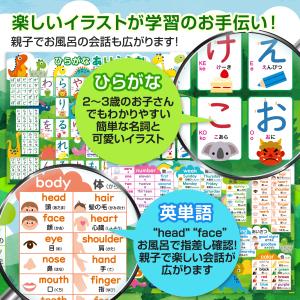 お風呂の学校 ひらがな&カタカナ&アルファベッ...の詳細画像3