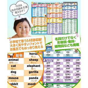 お風呂の学校 小学生向け英単語500選 お風呂...の詳細画像3