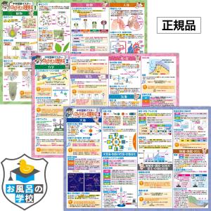 お風呂の学校 中学受験マスター理科 お風呂ポスター 3枚セット 日本製 B3サイズ 学習 知育 防水｜クロールアップストア東京