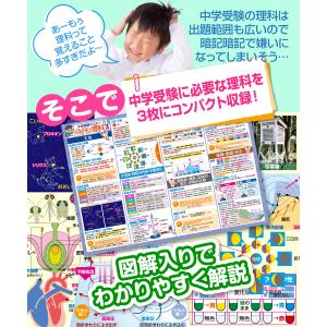 お風呂の学校 中学受験マスター理科 お風呂ポス...の詳細画像2