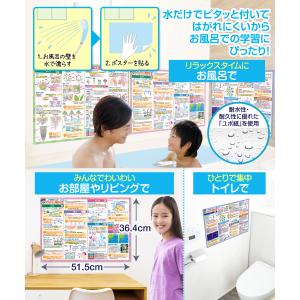 お風呂の学校 中学受験マスター理科 お風呂ポス...の詳細画像5
