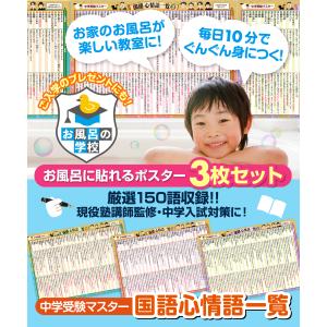 お風呂の学校 中学受験マスター国語心情語一覧 ...の詳細画像1