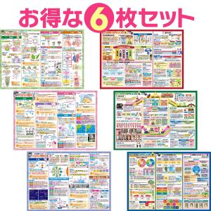 お風呂の学校 セット価格 中学受験マスター理科／公民 お風呂ポスター２種類セット 日本製 理科 社会 学習 知育 B3サイズ 防水