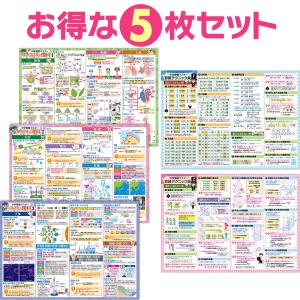 SSTボードゲーム【なかよしチャレンジ】 : ワンサカYahoo!店 - 通販