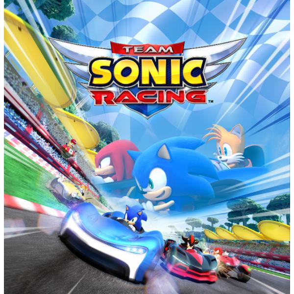 即納 新品 NSW チームソニックレーシング 新価格版(スイッチ ソフト)