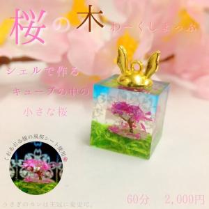 専用です♡レアバイカラー水蓮花天珠、黒蝶貝、白蝶貝、グアテマラ産翡翠、スキャポラ VAZZROCK」bi-colorシリーズ4thシーズン⑥「大黒 岳×名積ルカ