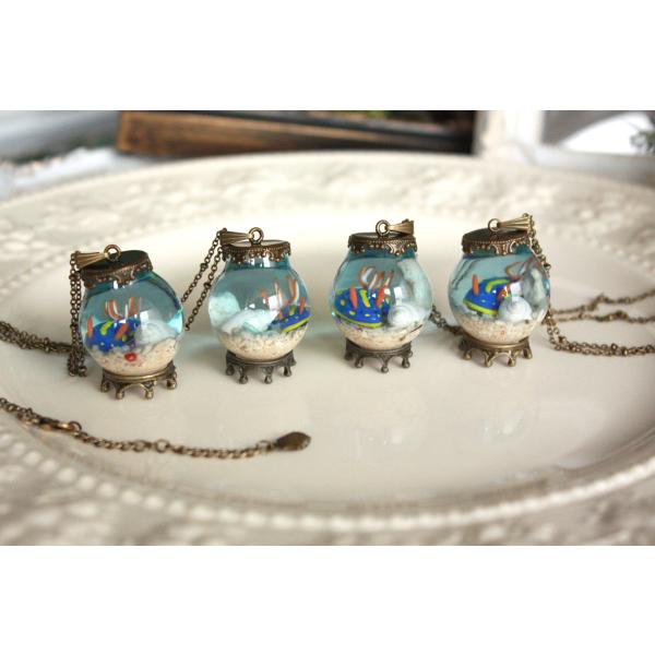 観察機【アオウミウシ】