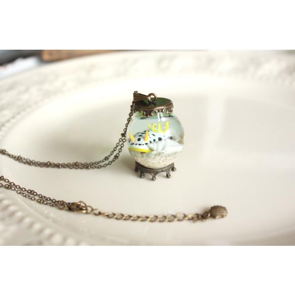 観察機【シロウミウシ】