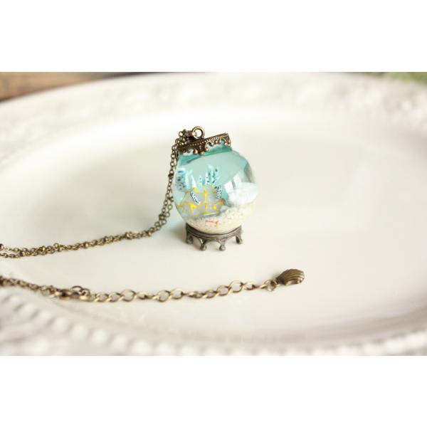 観察機【キスジカンテンウミウシ】