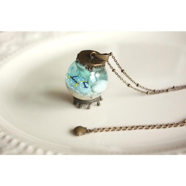 観察機【シモフリカメサンウミウシ】