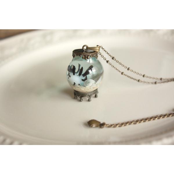 観察機【パンダツノウミウシ】