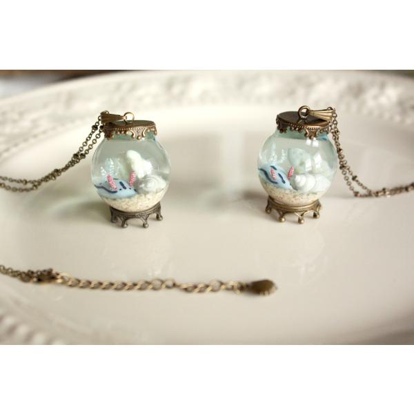 観察機【ミゾレウミウシ】