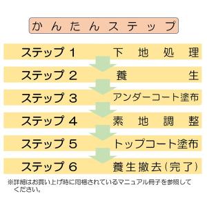 浴室修復塗料 バスロン バスタブ単品用 スプレ...の詳細画像5