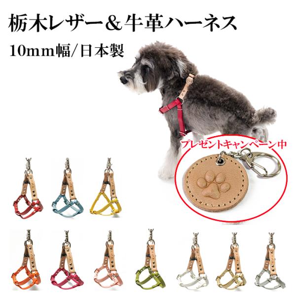 ハーネス 犬 おしゃれ 安全帯 小型犬 本ヌメ栃木レザー10mm幅ハーネス Ｓサイズ
