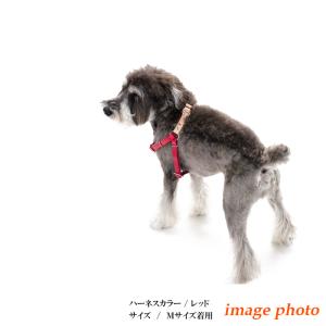 ハーネス 犬 おしゃれ 安全帯 小型犬 本ヌメ...の詳細画像2