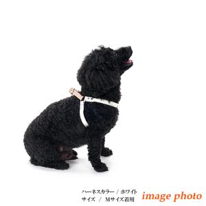ハーネス 犬 おしゃれ 安全帯 小型犬 本ヌメ...の詳細画像3