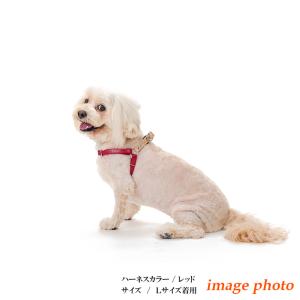 ハーネス 犬 おしゃれ 安全帯 小型犬 本ヌメ...の詳細画像5