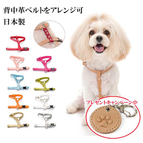 ハーネス 犬 おしゃれ 安全帯 超小型犬 小型犬 中型犬 いぬ 抜けない 革 H型レザーハーネス