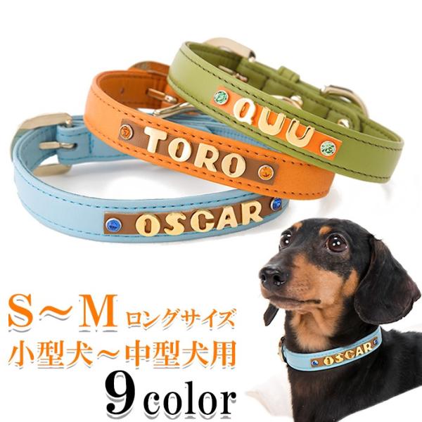 犬 首輪 名前入り おしゃれ 革 小型犬 中型犬 犬首輪 犬の首輪 カシメ