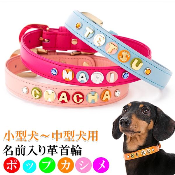 犬 首輪 名前入り おしゃれ 革 小型犬 中型犬 犬首輪 犬の首輪 ポップカシメ