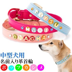 TIFFANY&Co.（ティファニー） 新古品 ペットカラー ペット用 犬用 首輪