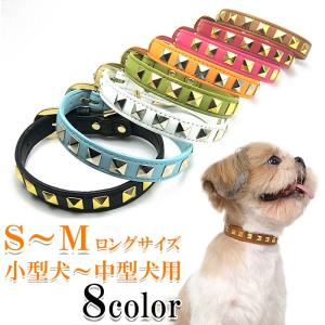 犬 首輪 おしゃれ 革 中型犬 犬首輪 犬の首輪 スタッズ首輪 : 犬首輪