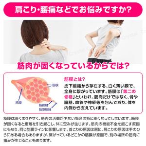 マッサージローラー フォームローラー ヨガポー...の詳細画像3